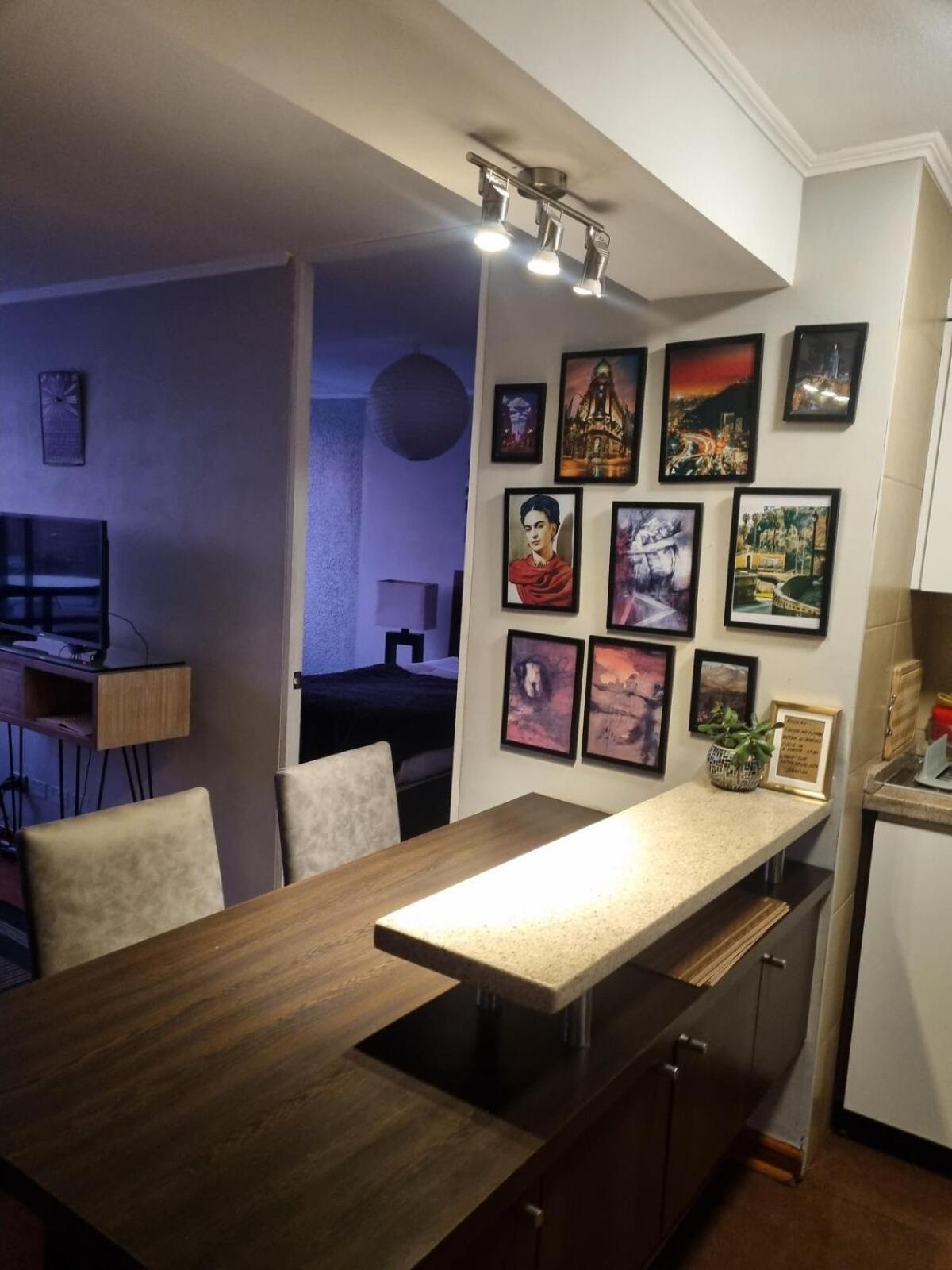 Central, Bellavista, And Bellas Artes Apartamento Santiago